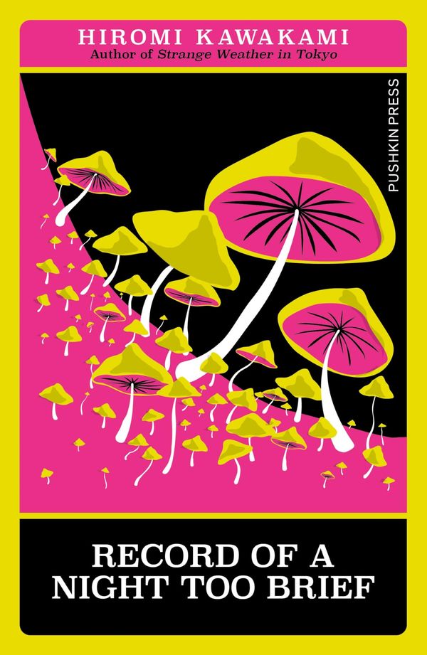 Record of a Night too Brief Book Cover
