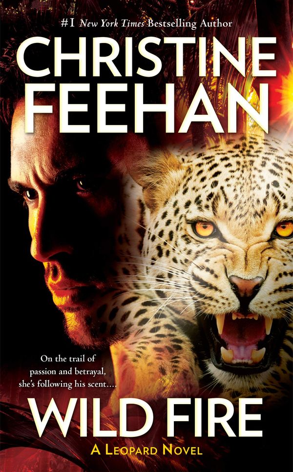 Wild Fire Book Cover