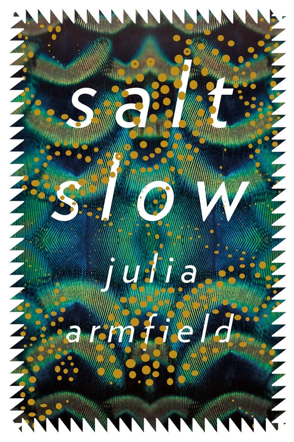 salt slow Book Cover