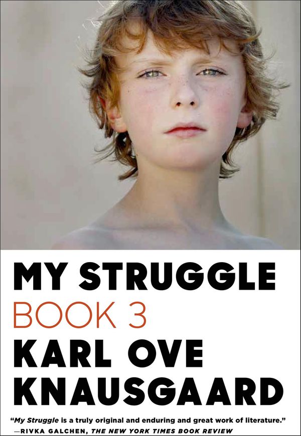 My Struggle: Book 3 cover