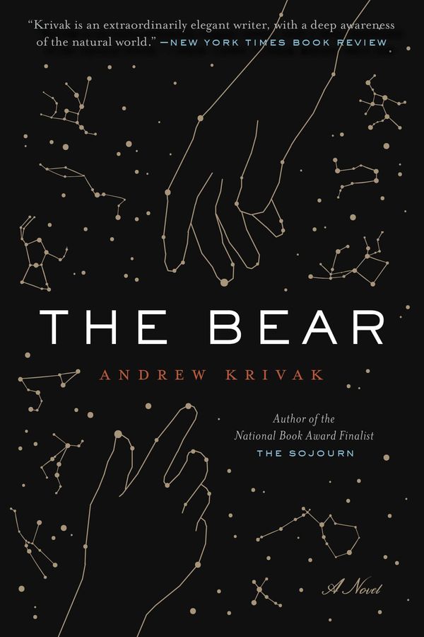 The Bear Book Cover