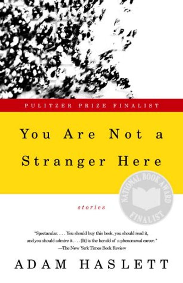 You Are Not a Stranger Here Book Cover