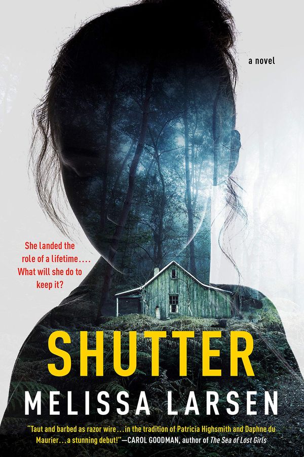 Shutter Book Cover