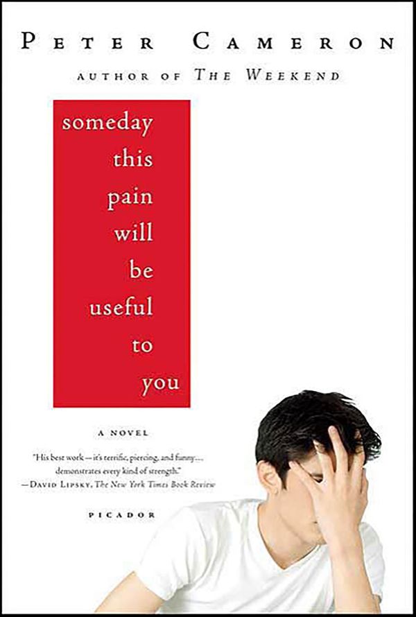 Someday This Pain Will Be Useful to You Book Cover