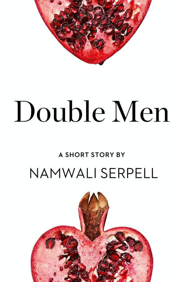 Double Men Book Cover