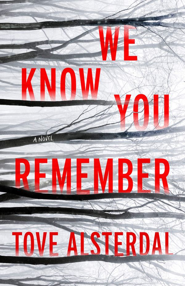 We Know You Remember cover