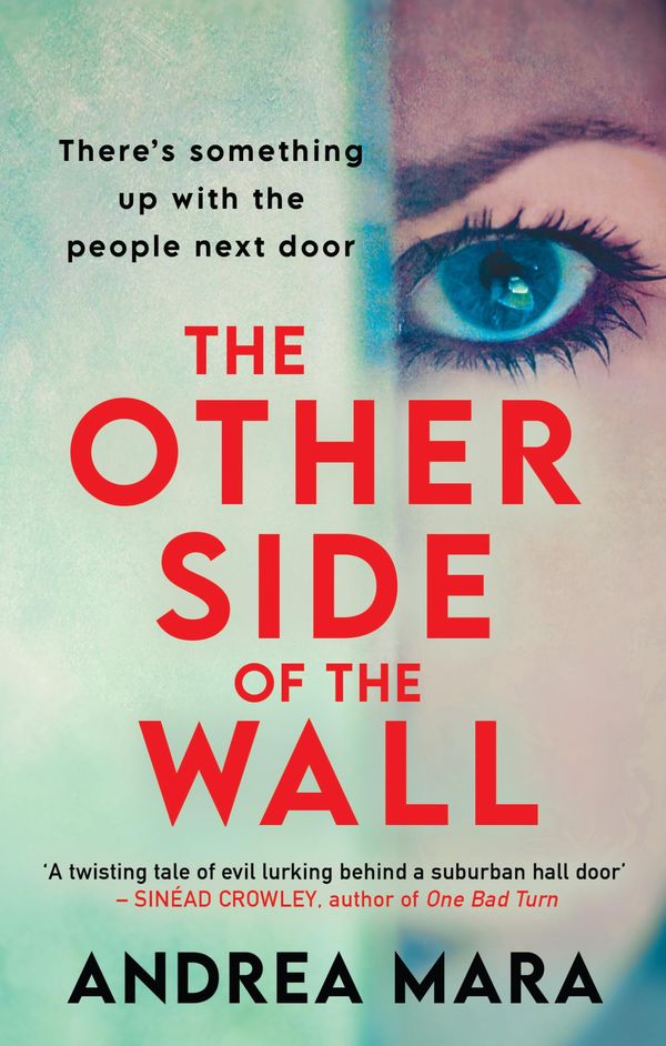 The Other Side Of The Wall Book Cover