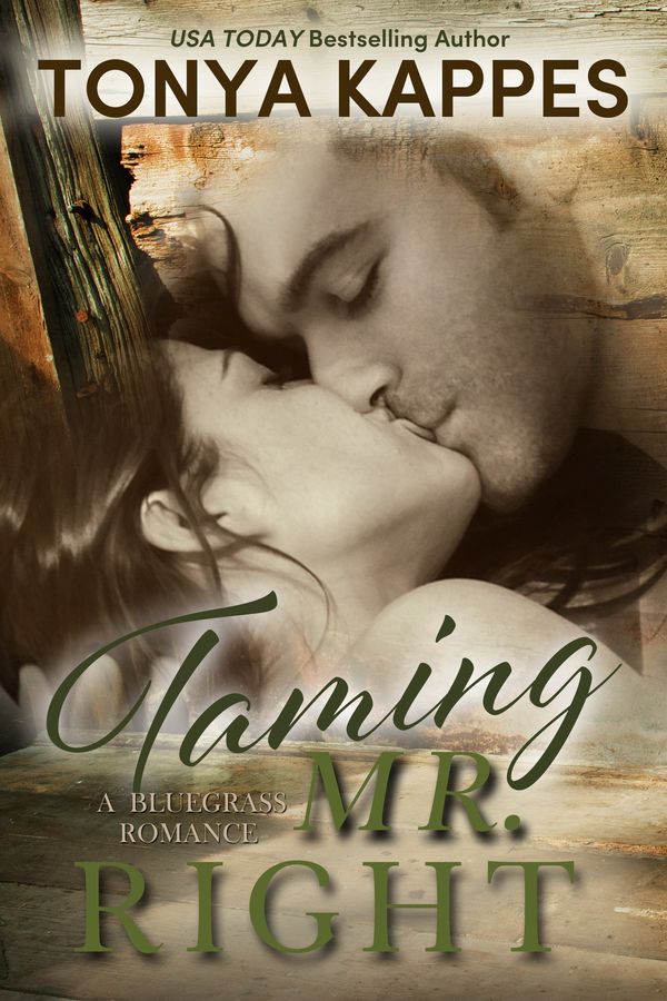 Taming Mr. Right cover