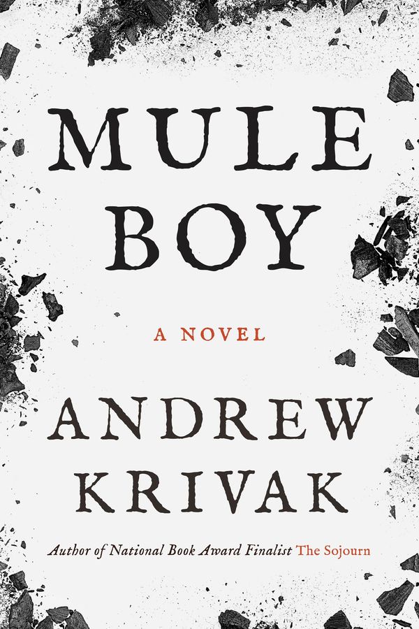 Mule Boy Book Cover