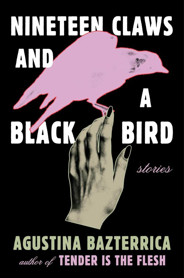 Nineteen Claws and a Black Bird Book Cover