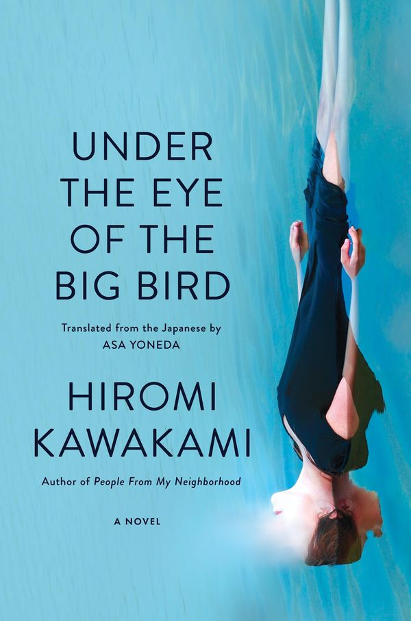 Under the Eye of the Big Bird Book Cover