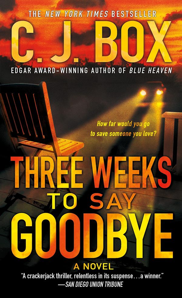 Three Weeks to Say Goodbye Book Cover
