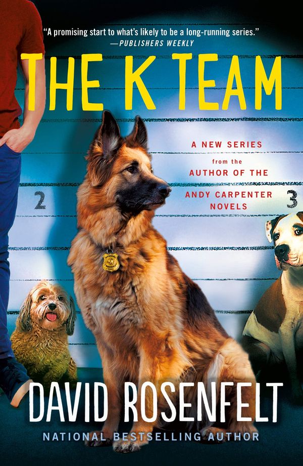 The K Team Book Cover