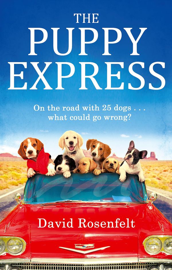 The Puppy Express Book Cover