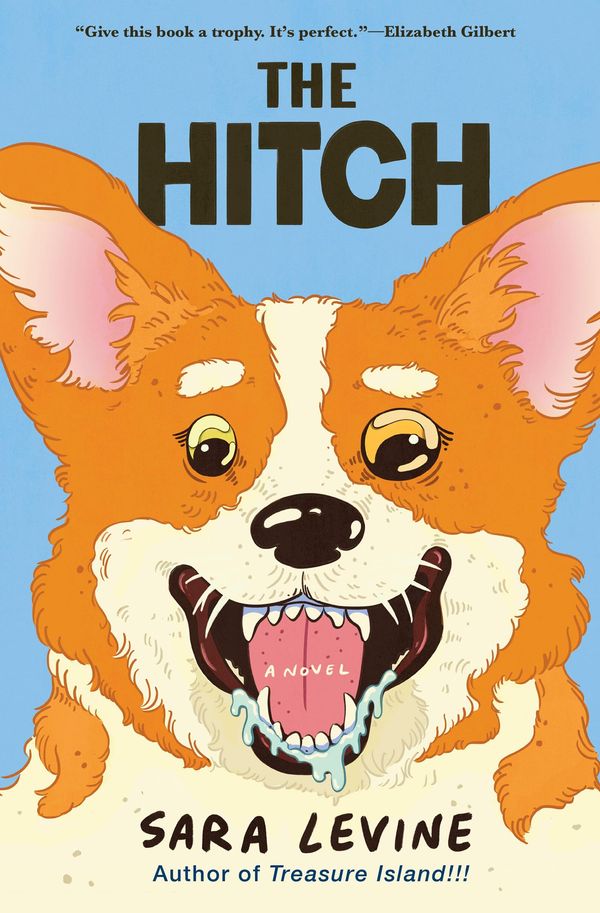 The Hitch Book Cover
