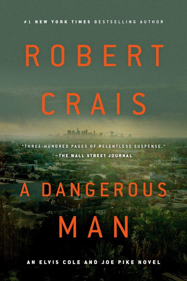 A Dangerous Man Book Cover