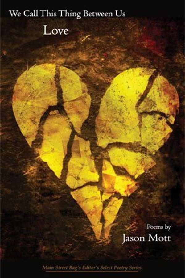 We Call This Thing Between Us Love Book Cover