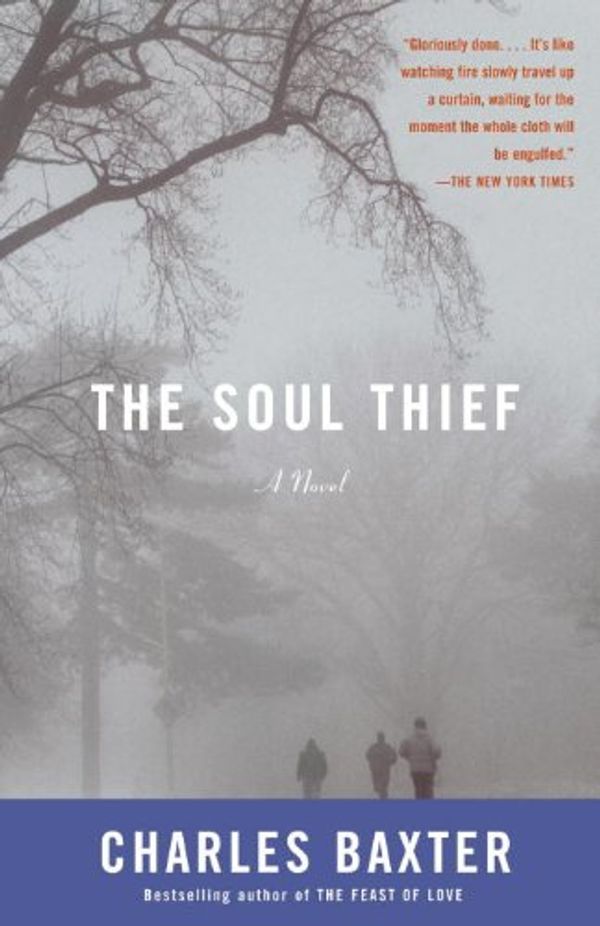 The Soul Thief Book Cover