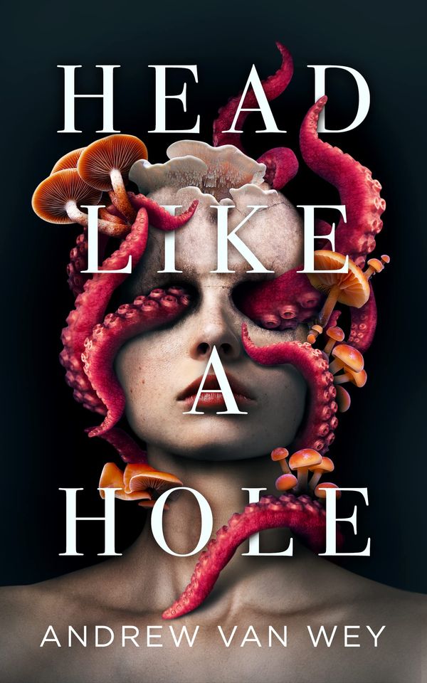 Head Like a Hole of Horror Book Cover