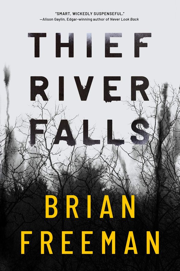 Thief River Falls Book Cover