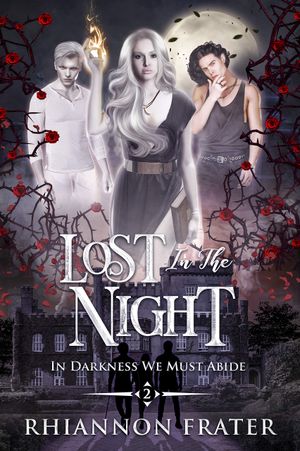 Lost in the Night