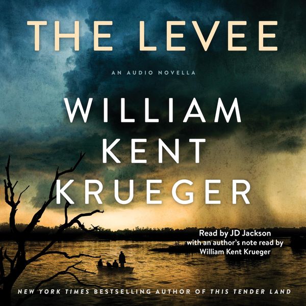 The Levee Book Cover