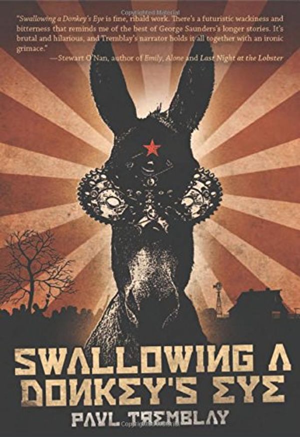 Swallowing a Donkey's Eye Book Cover