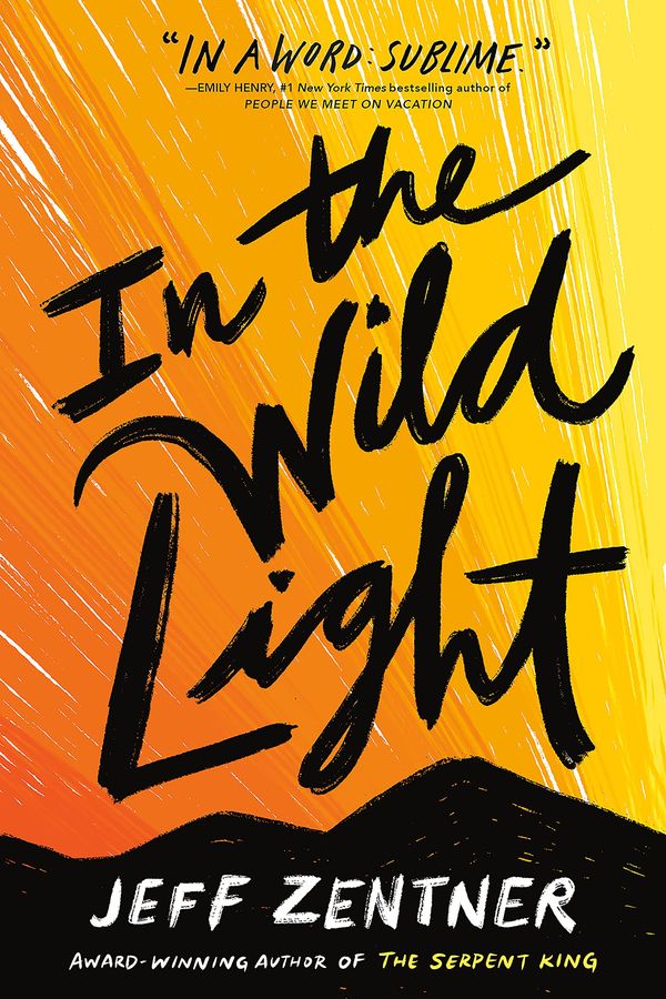 In the Wild Light Book Cover
