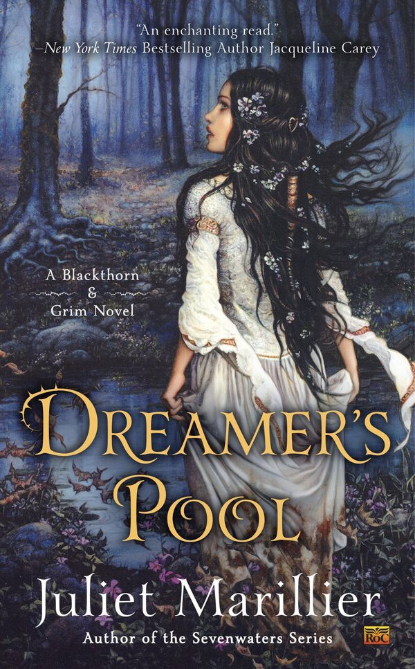 Dreamer's Pool cover