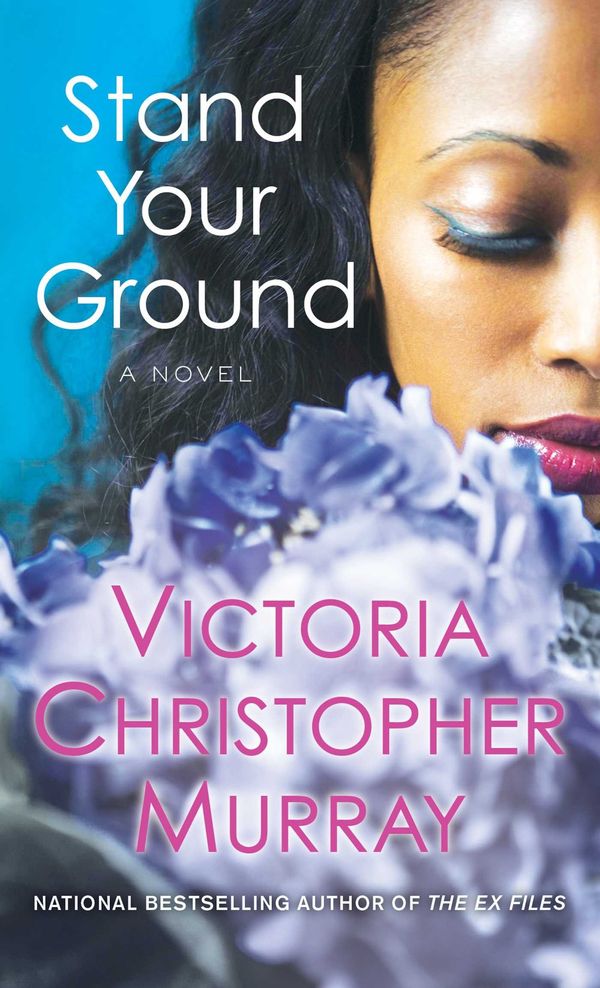 Stand Your Ground Book Cover