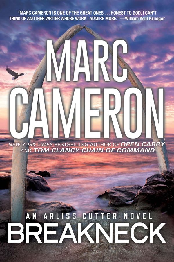 Breakneck Book Cover