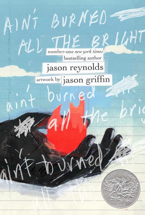 Ain't Burned All the Bright Book Cover