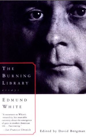 The Burning Library: Essays