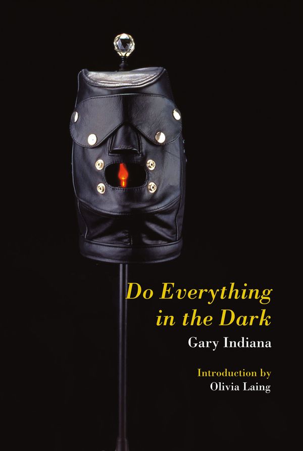 Do Everything in the Dark Book Cover