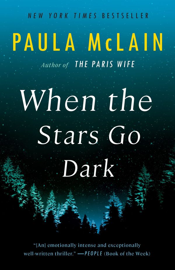 When the Stars Go Dark Book Cover