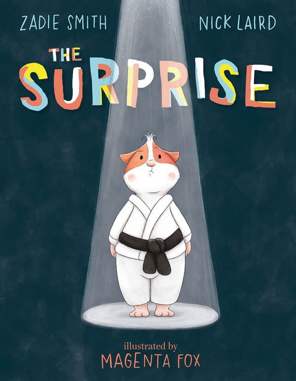The Surprise Book Cover