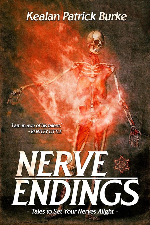 Nerve Endings Book Cover