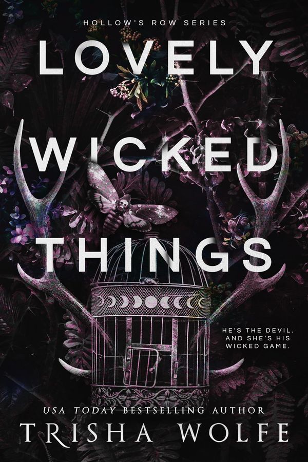 Lovely Wicked Things cover