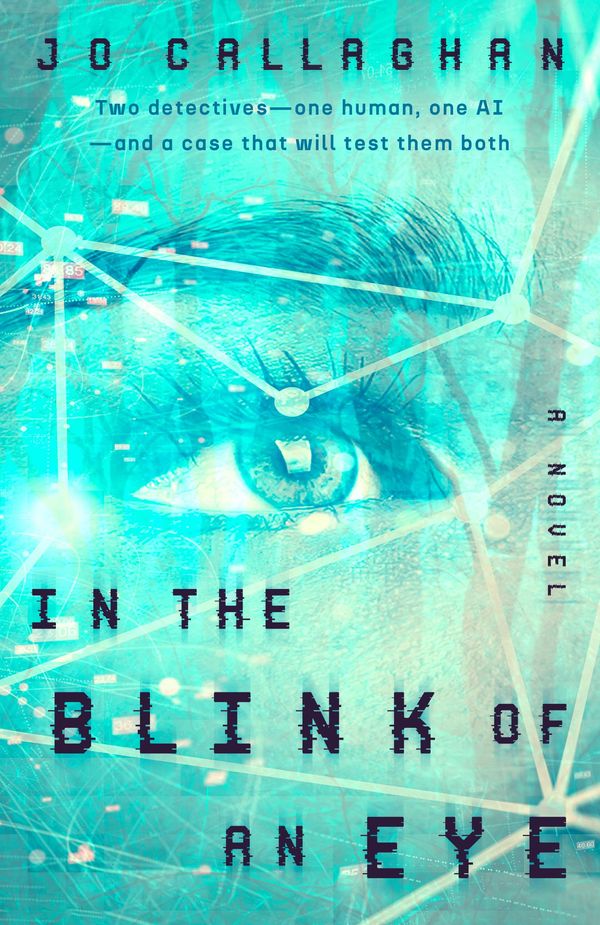In the Blink of an Eye Book Cover