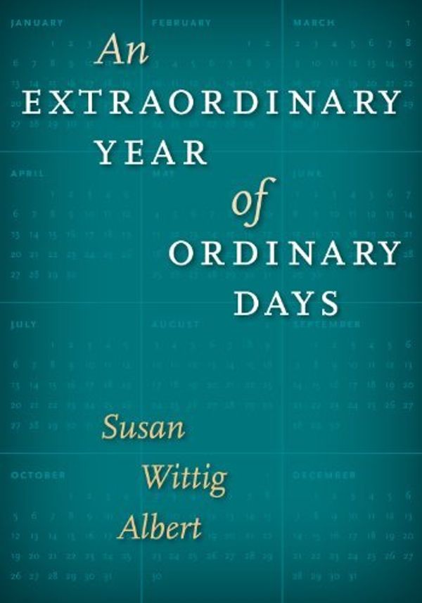 An Extraordinary Year of Ordinary Days Book Cover