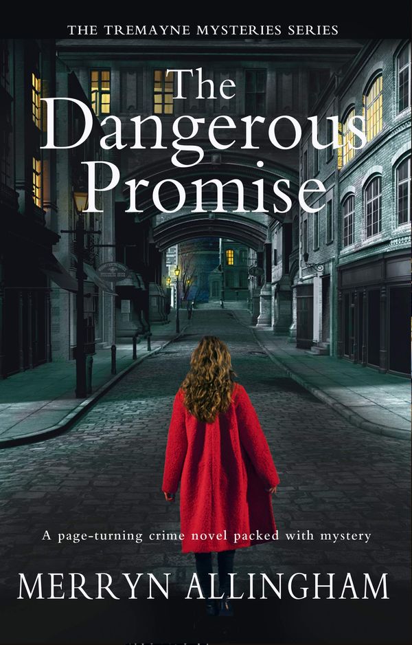 The Dangerous Promise Book Cover