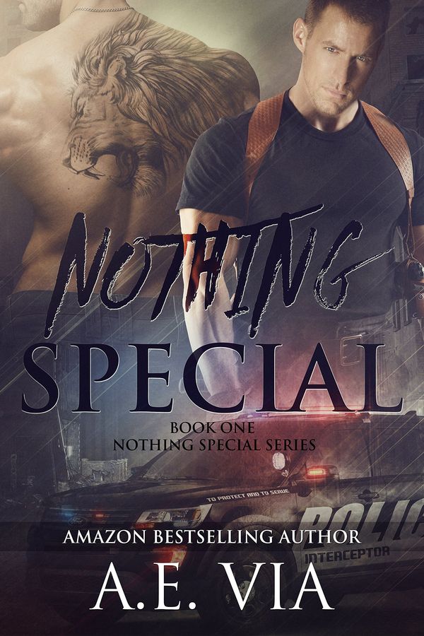 Nothing Special cover