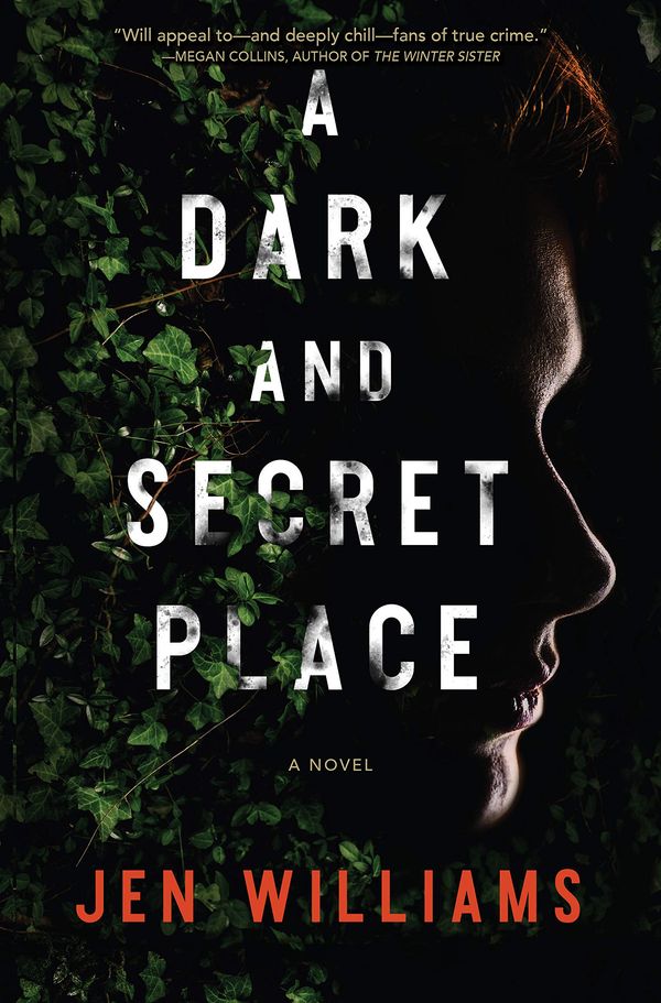 A Dark and Secret Place Book Cover