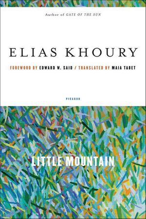 Little Mountain