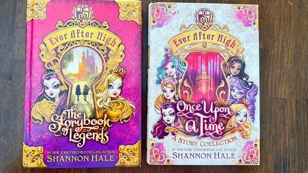 Once Upon a Time Book Cover