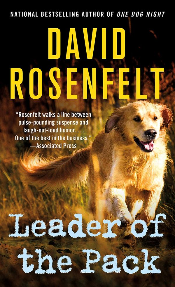 Leader of the Pack Book Cover
