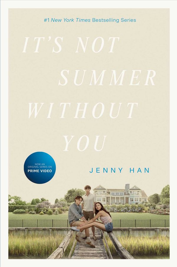 It's Not Summer Without You Book Cover