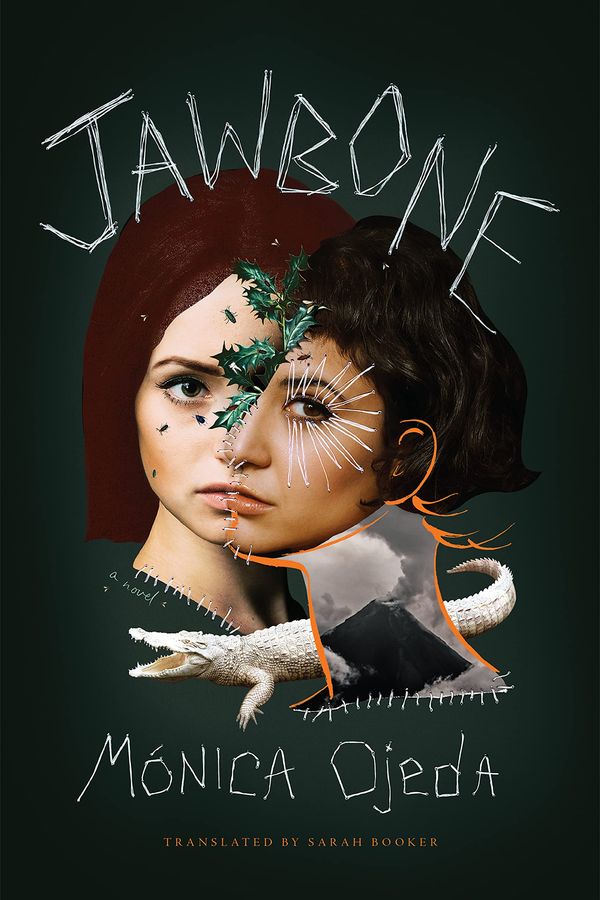 Jawbone Book Cover