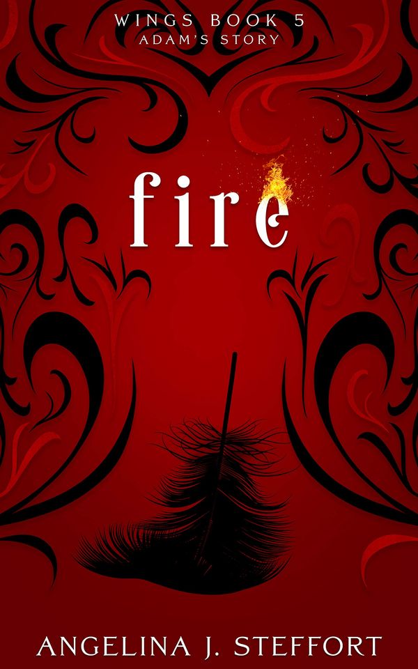 Fire Book Cover