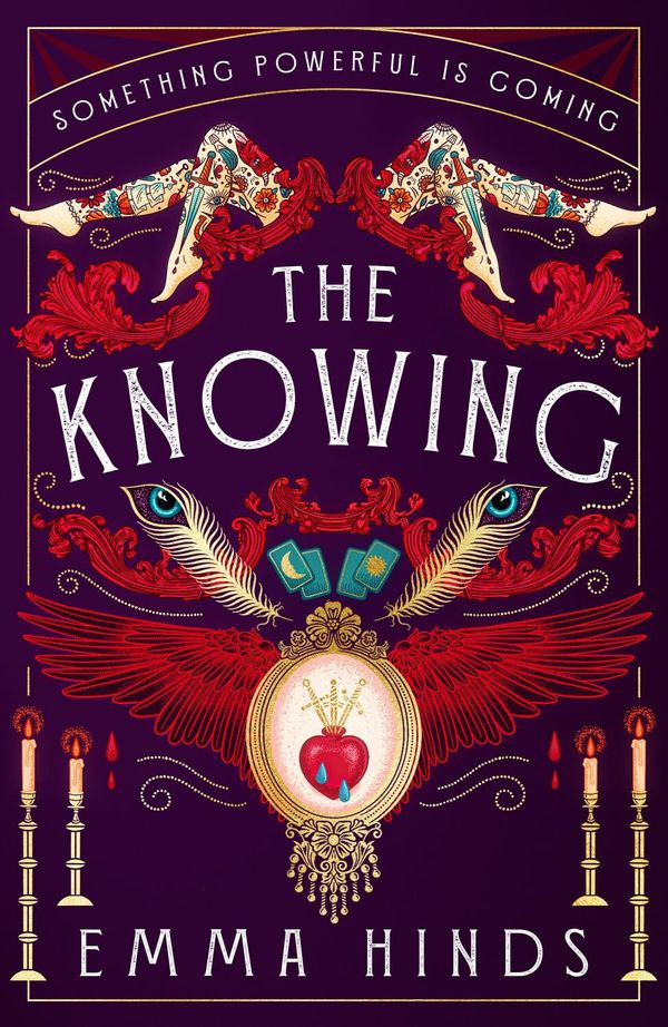 The Knowing Book Cover